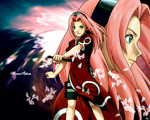 0041 Naruto Sakura Anime Girl Wallpaper