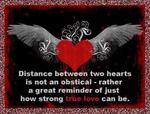 True love wallpaper